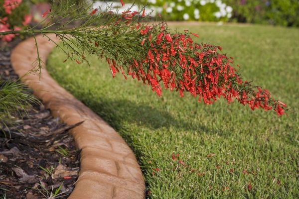 Brick Edging in Cherry Hill