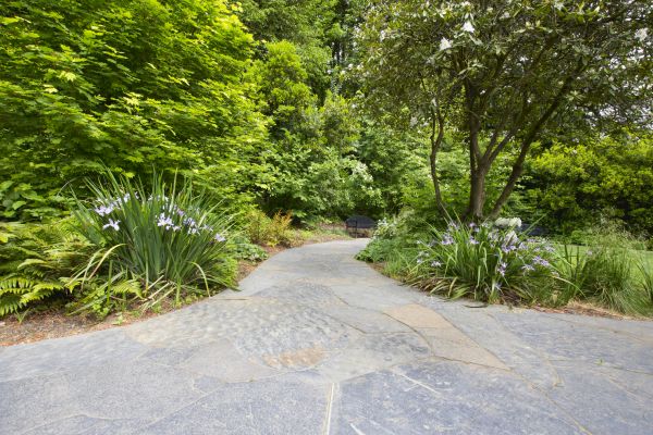 Stone Hardscape Service in Cherry Hill